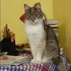 Отзыв от Эльмира Лазарева